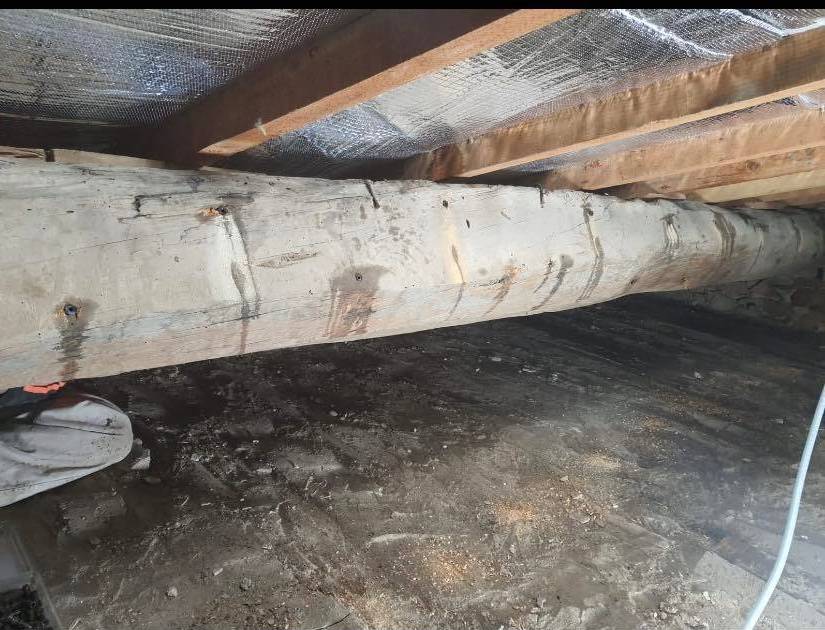 traitement curatif charpente attaquée Le Luc en Provence 83340